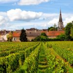 Bourgondië: Meer dan alleen wijn en gastronomie