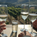 Champagneproeverij in de Champagne-streek