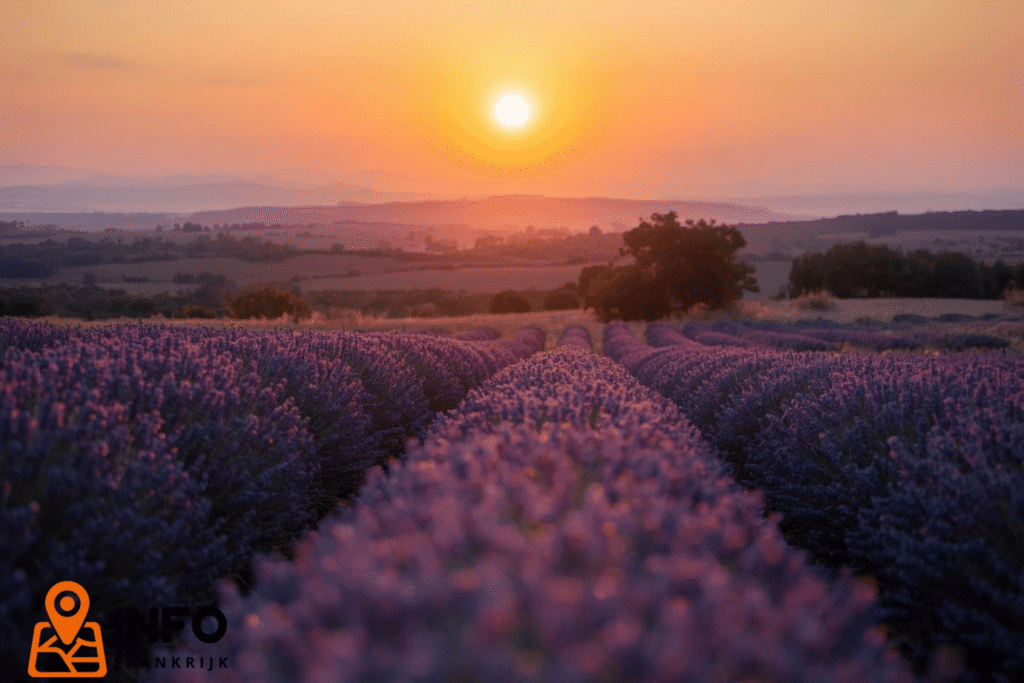 Fotograferen van Franse zonsondergangen